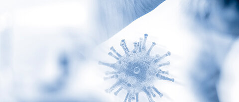 Bild eines kugelförmigen Virus mit stachelförmigen Proteinen an der Oberfläche.