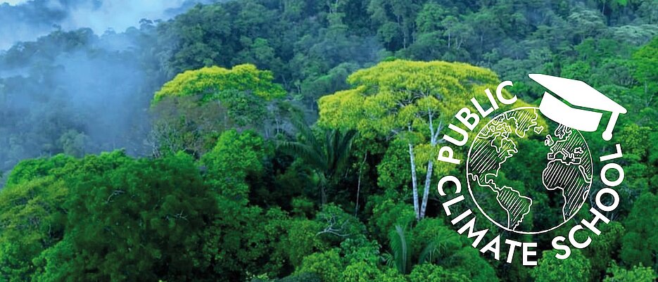 Symbolbild des Regenwaldes mit dem Logo der Public Climate School darüber