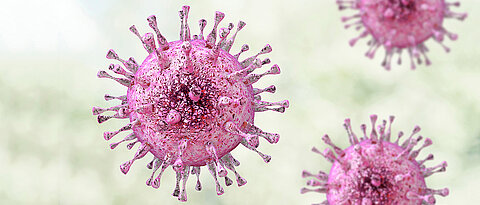 Grafische Illustration eines Zytomegalievirus